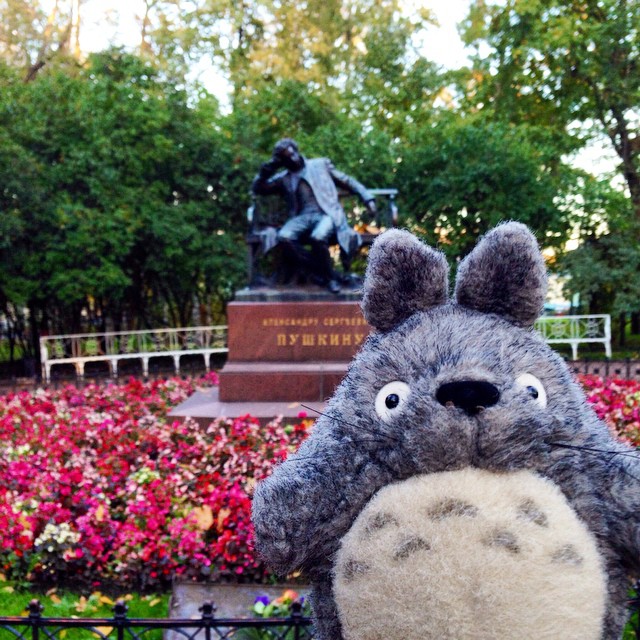 Тоторо путешествует totoro-traveller-27