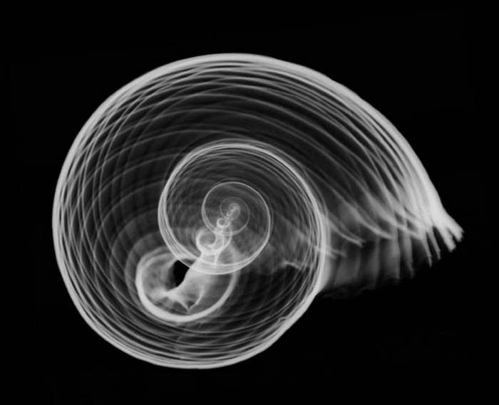 Nick Veasey рентгенография