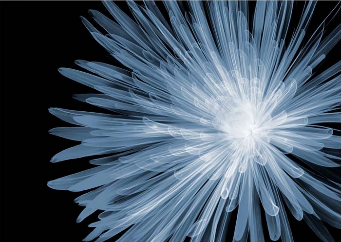 Nick Veasey рентгенография