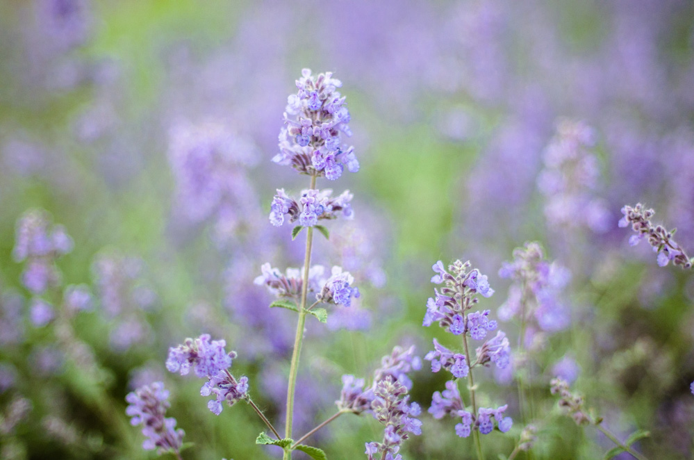 свидание на теплоходе