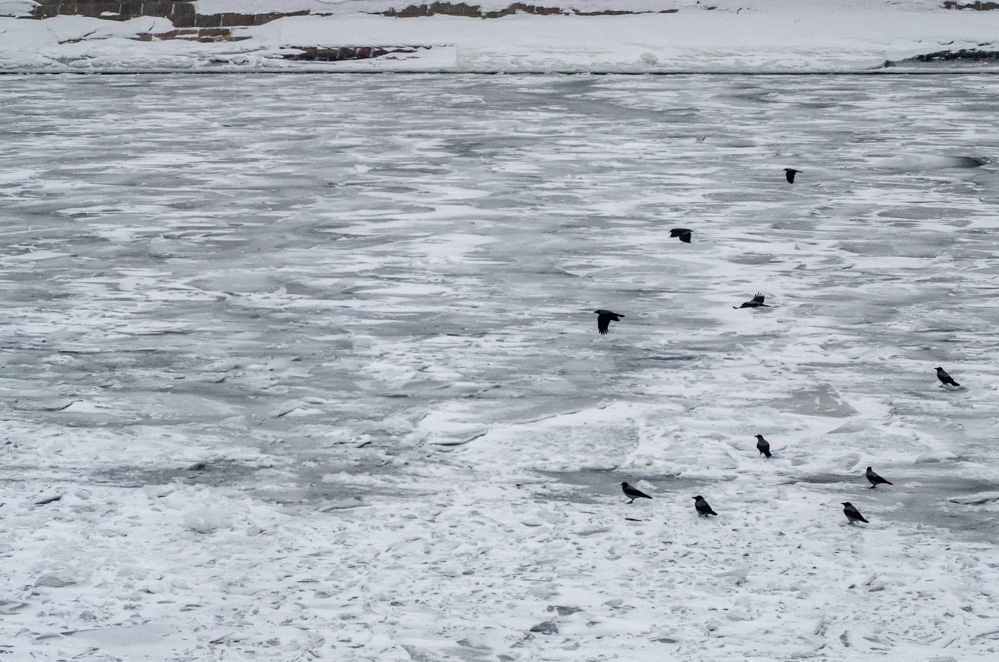 речные прогулки +по москве реке