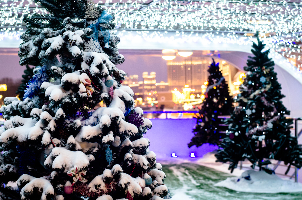 река прогулка