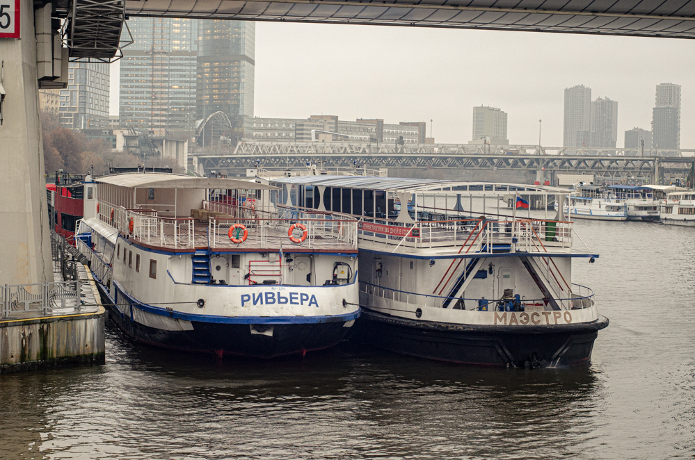 теплоход маэстро