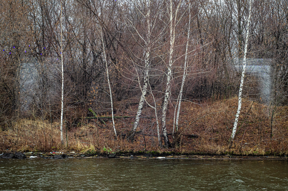 речные прогулки москва