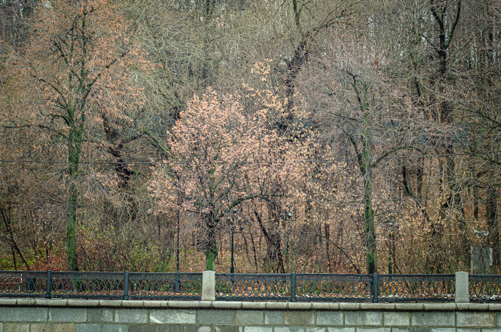 Воробьёвы горы