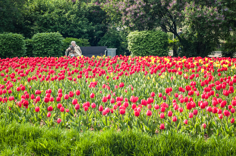 красная пресня