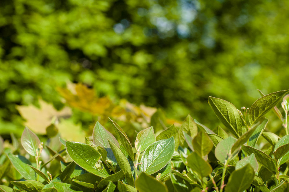 москва парк красная пресня