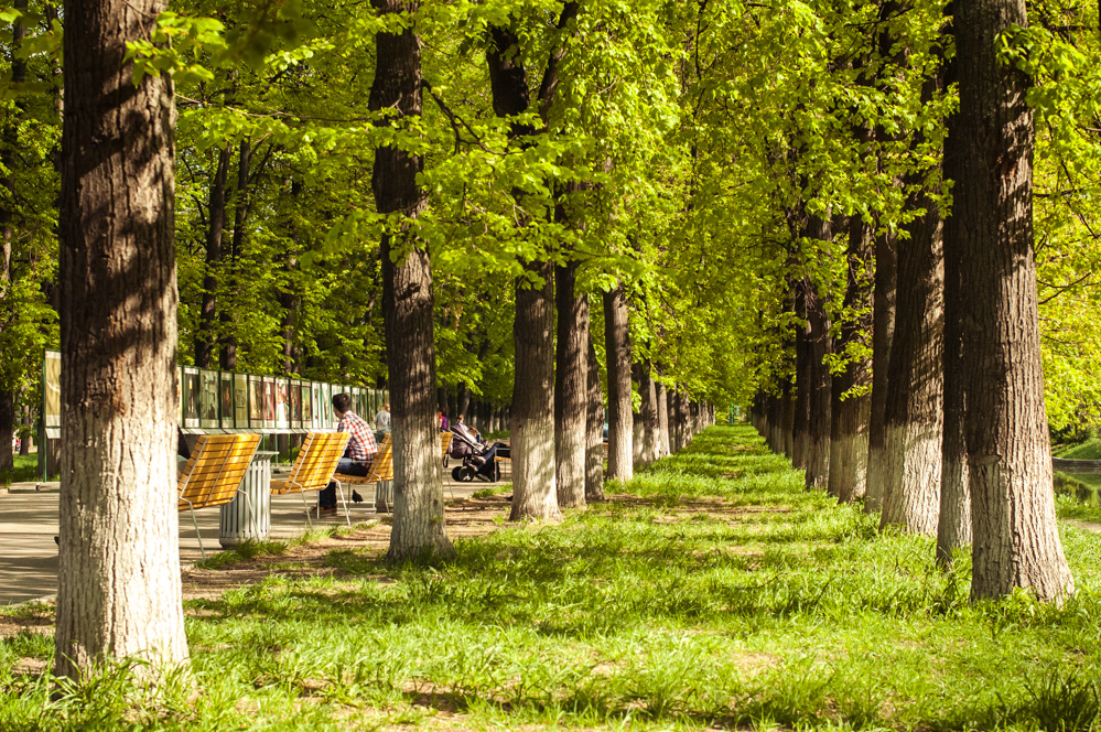 краснопресненский парк
