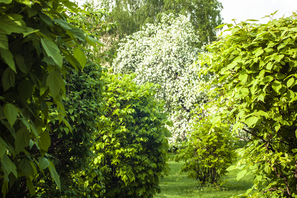 фото парки москвы