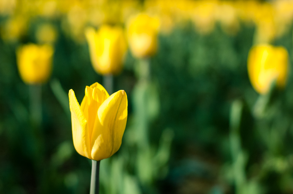 парк красная пресня