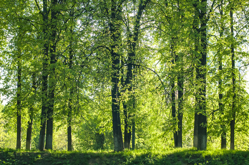 парк красная пресня как добраться