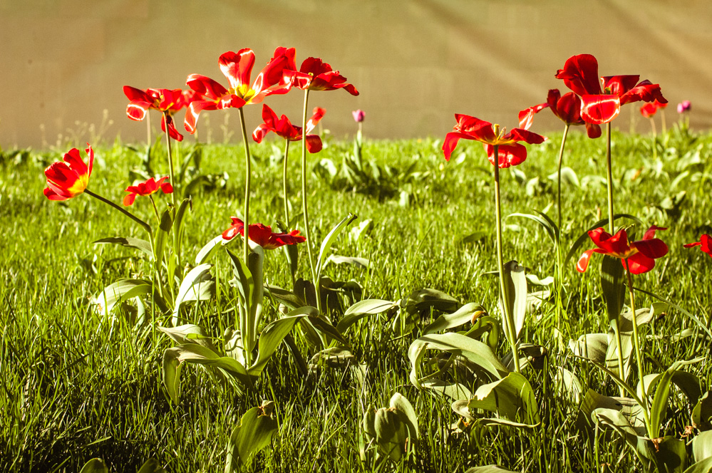 сити парк красная пресня