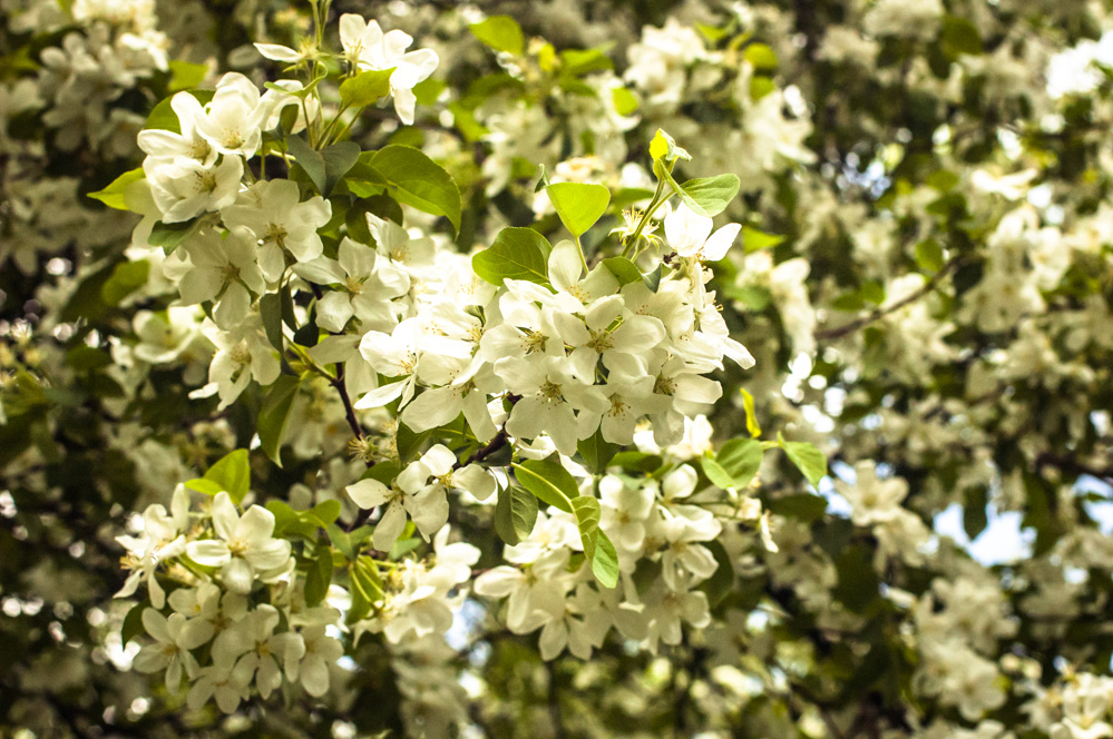 где парк красная пресня