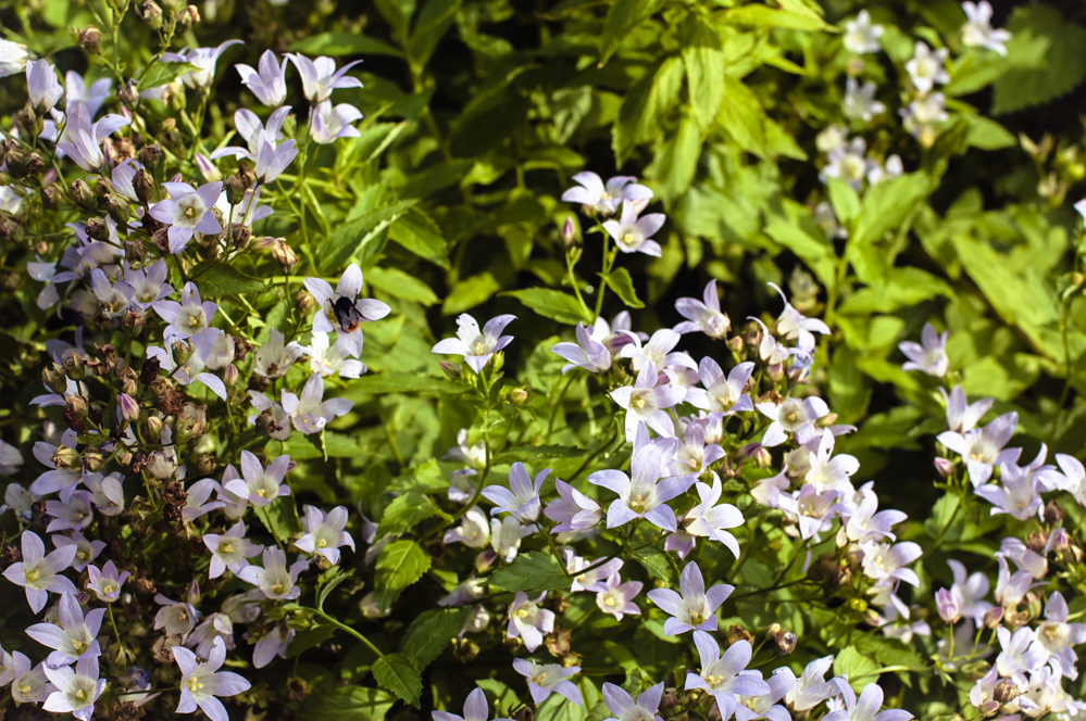 музеон парк искусств