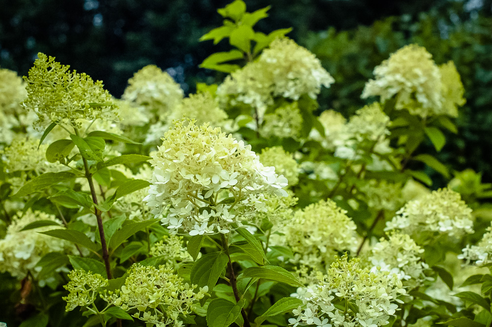 музеон москва парк где