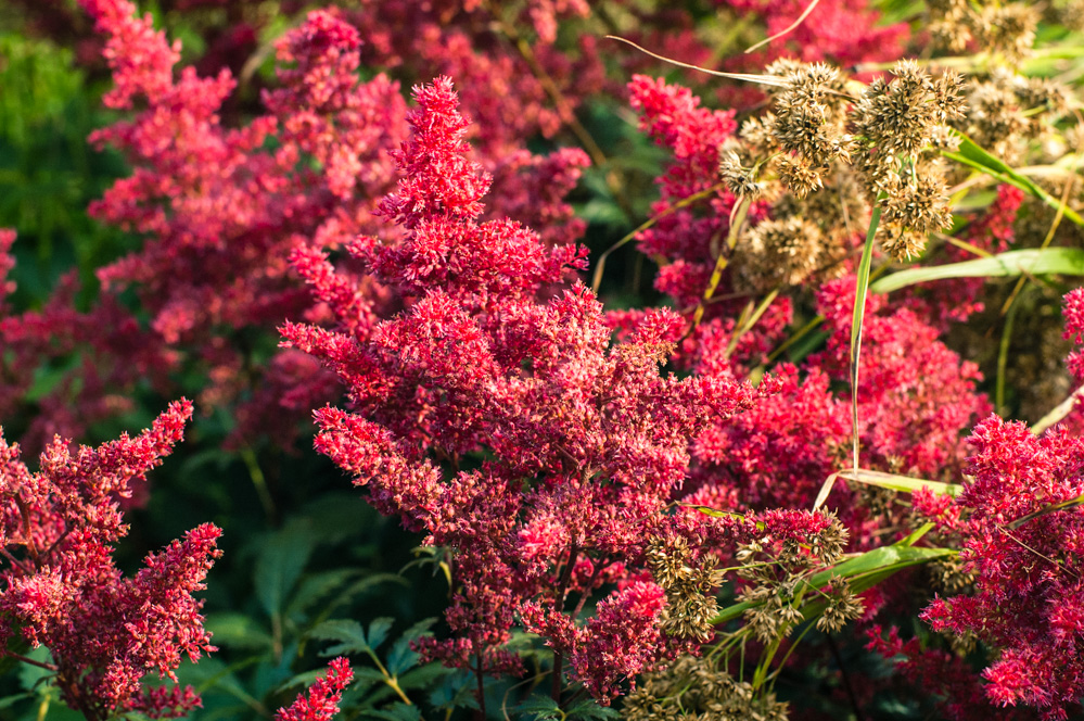 парк музеон в москве