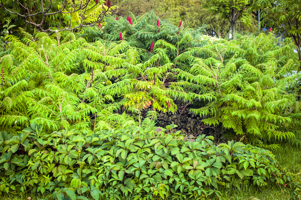 парк искусств музеон фото