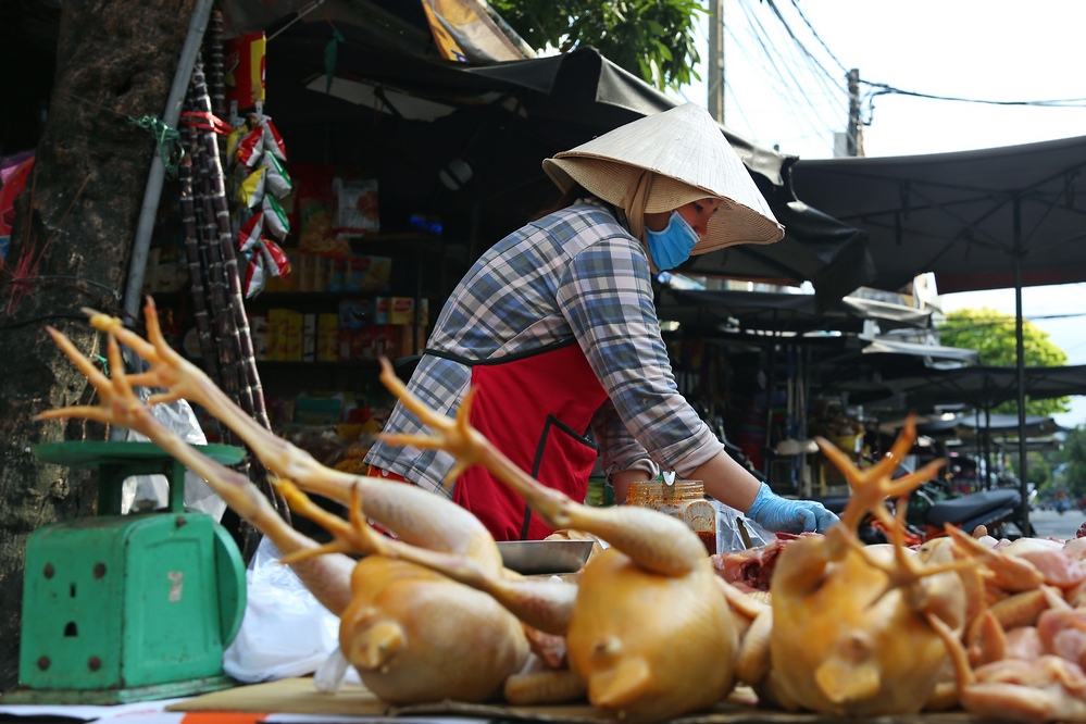 экскурсия нячанг