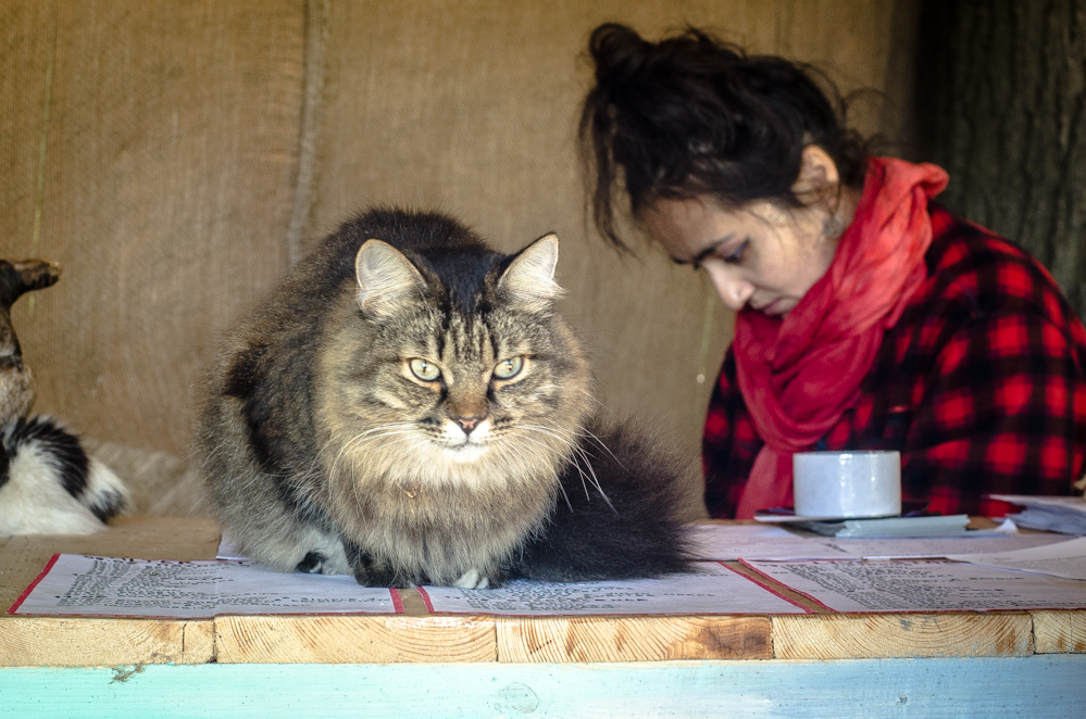 фестиваль сказка