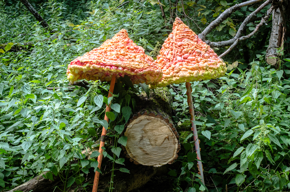 фестиваль сказка