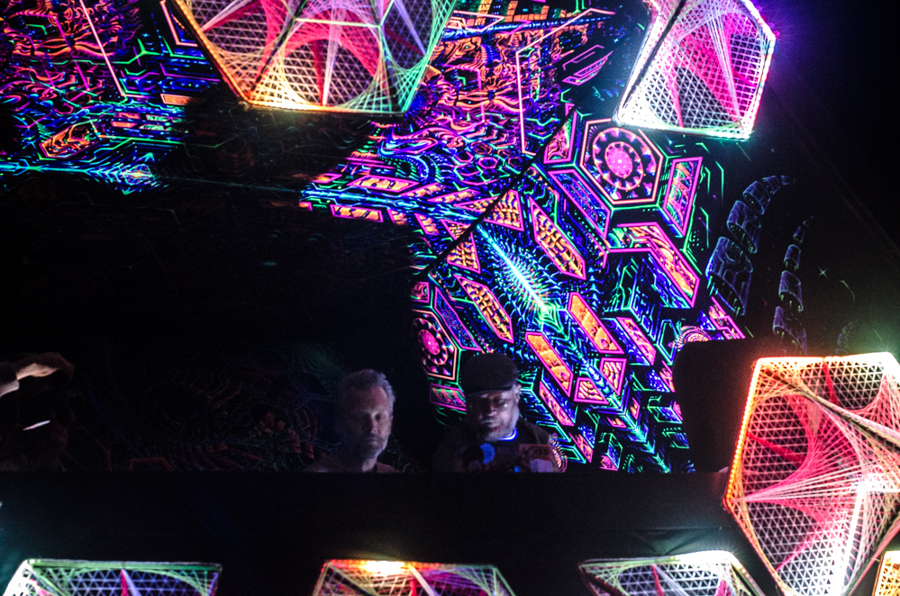 Carbon Based Lifeforms