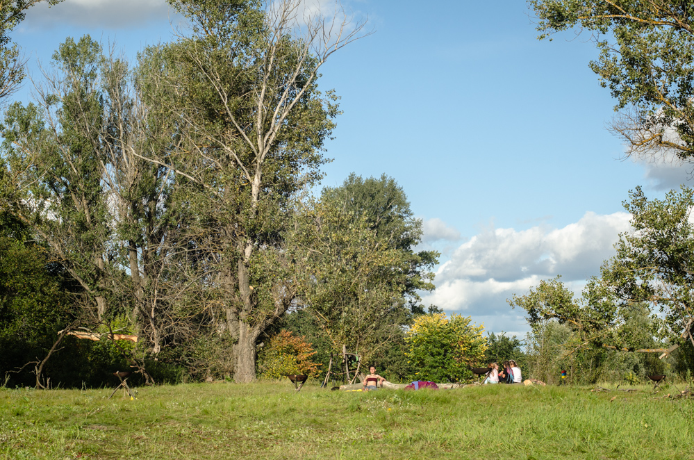 фестиваль сказка