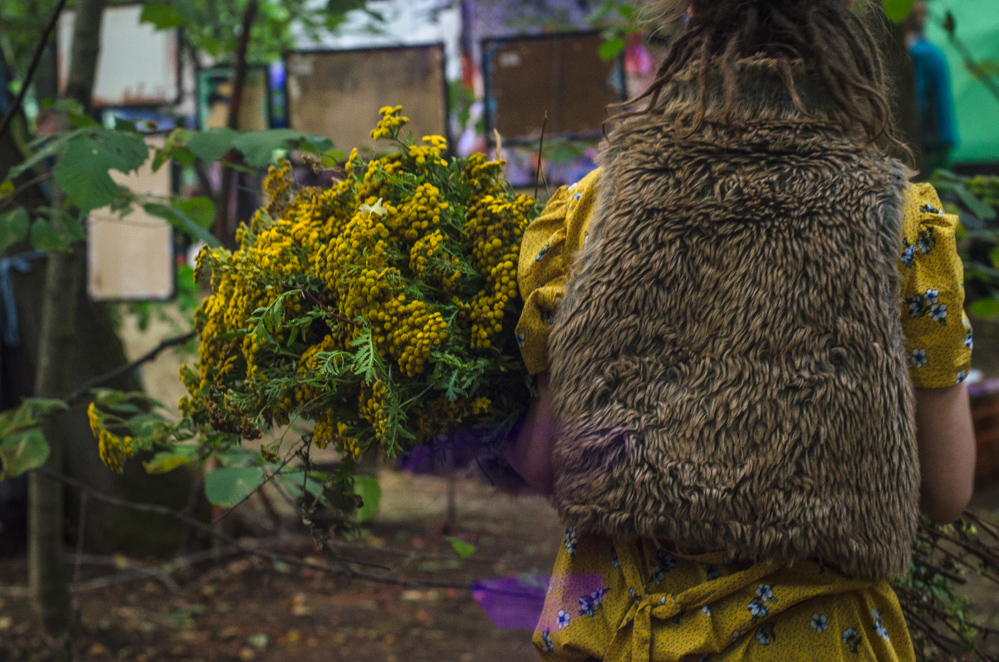 фестиваль сказка