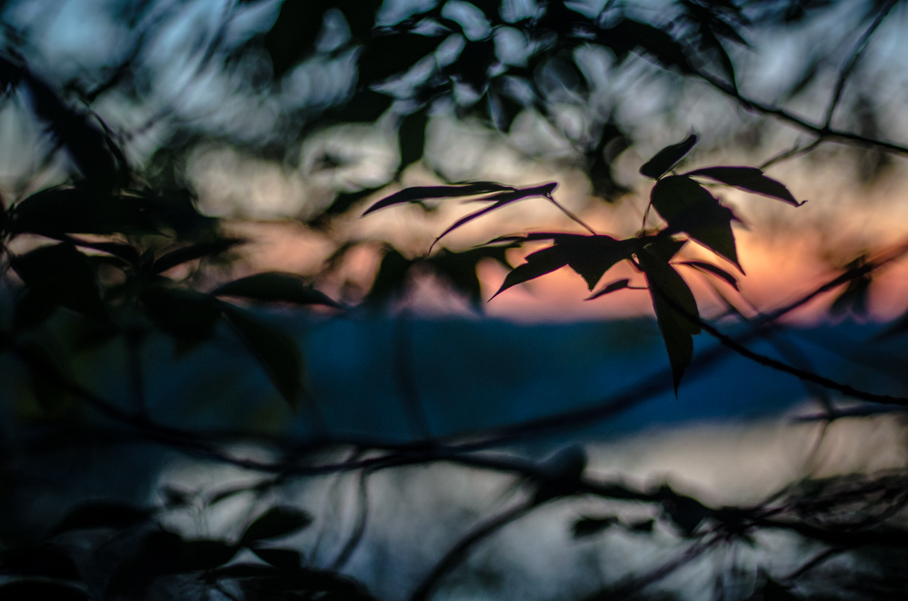 фестиваль сказка