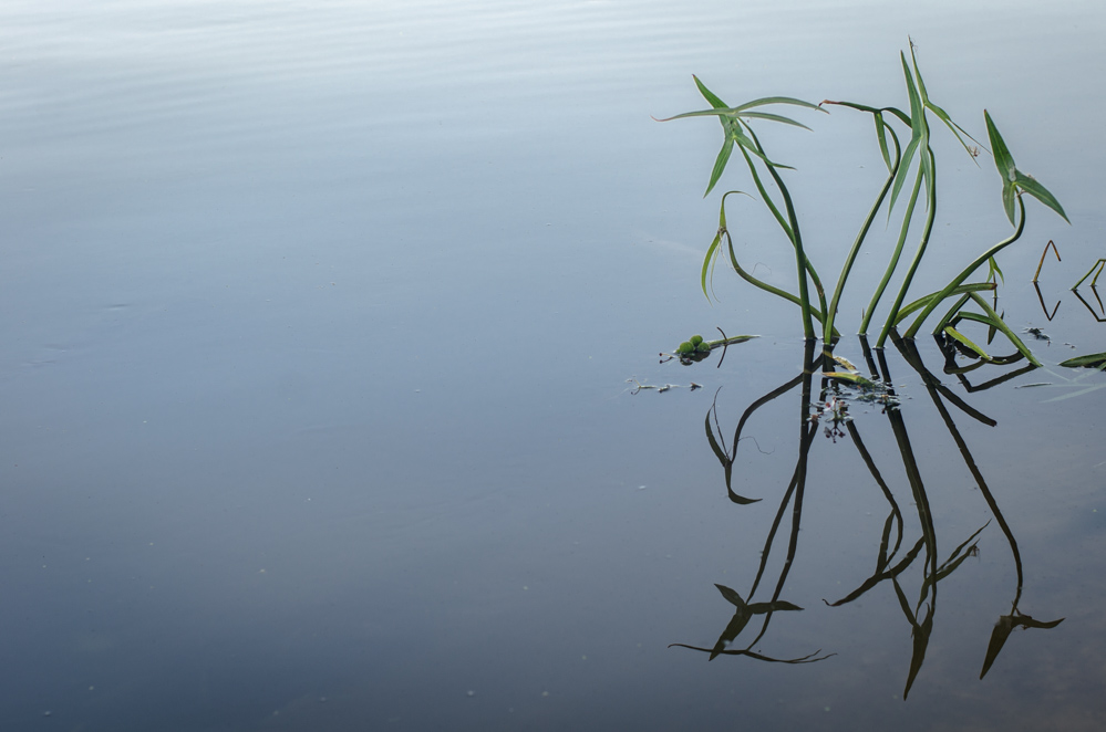 фестиваль сказка