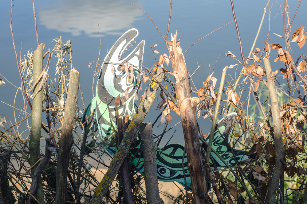 ока река фото