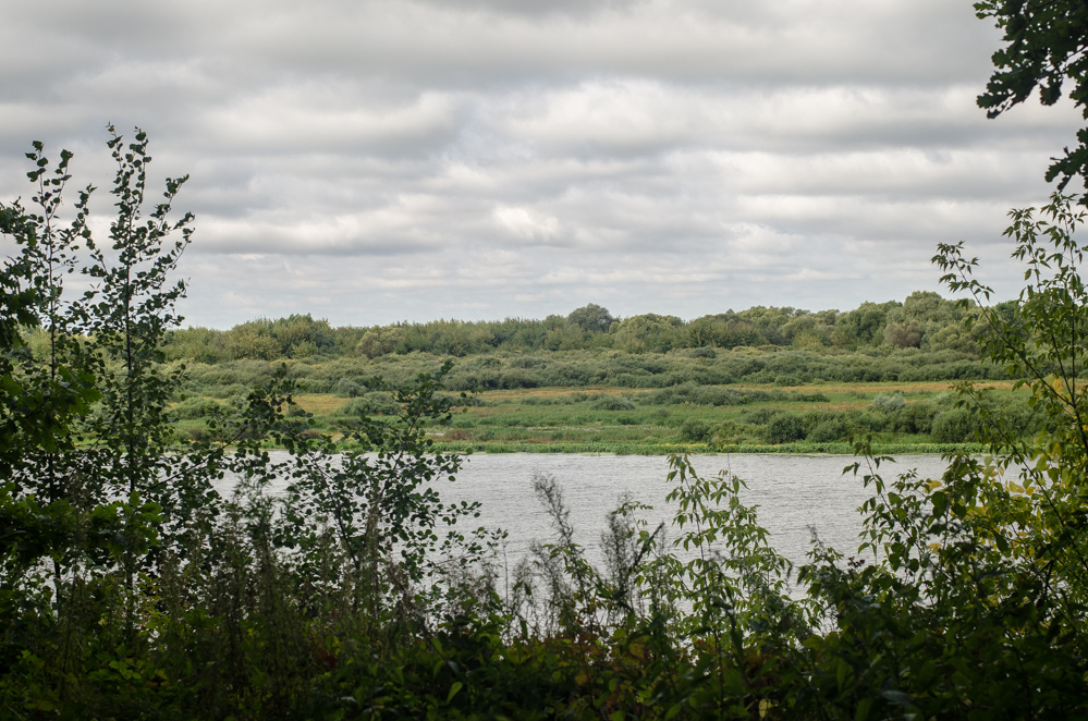 фестиваль сказка 2026