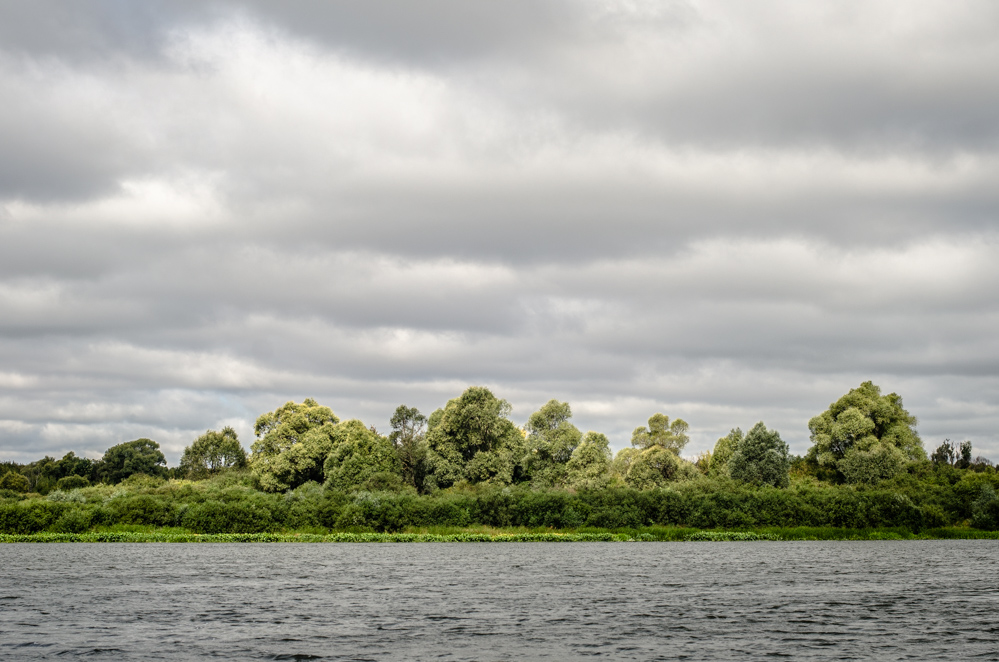 фестиваль сказка отзывы