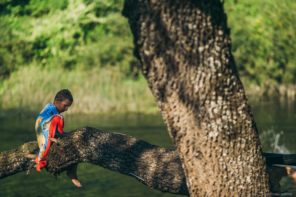 фестиваль поток