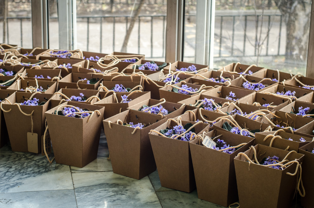 согласие hall москва