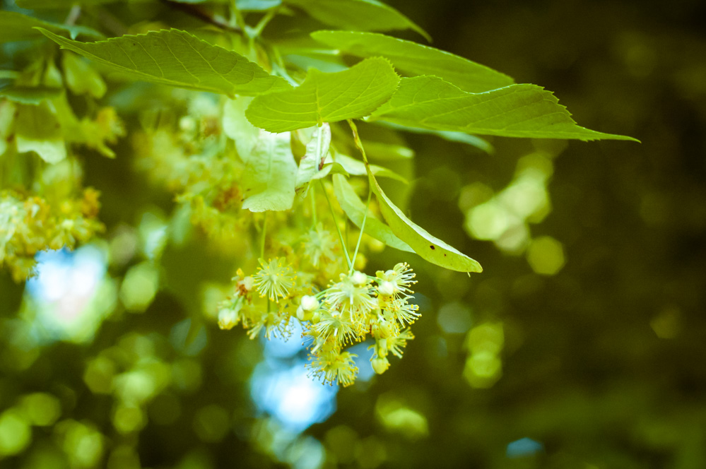детский парк москва