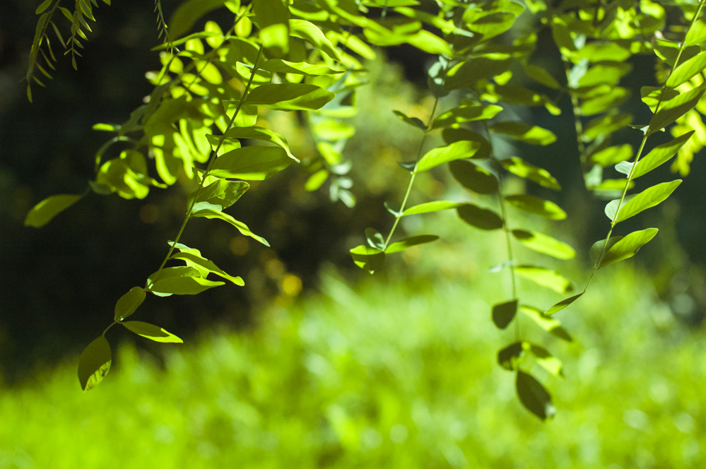 парк фили детская площадка