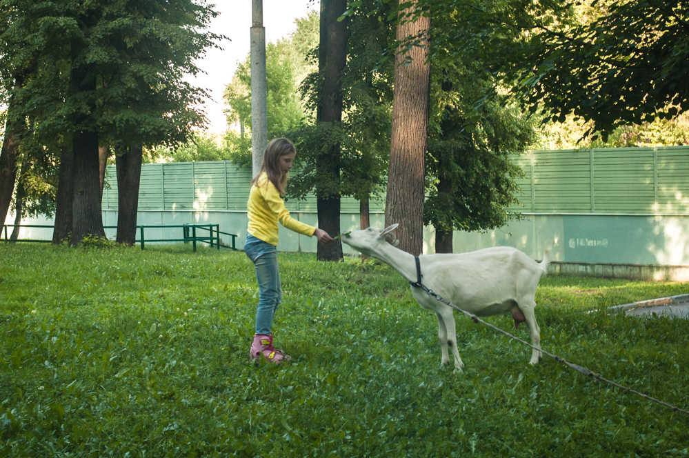 детский парк фили отзывы