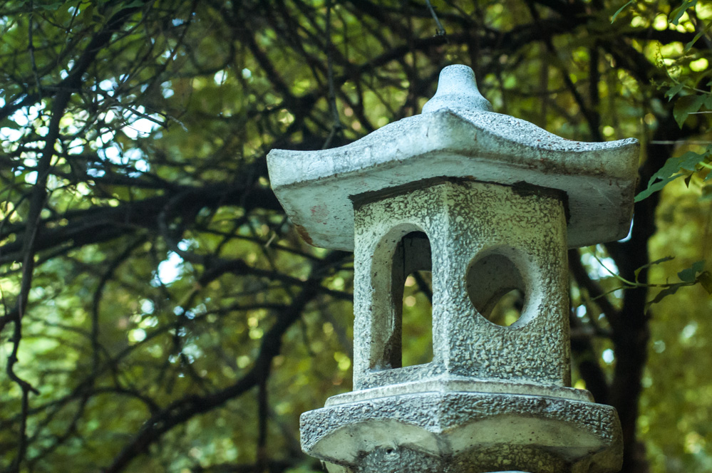 самые парки москвы