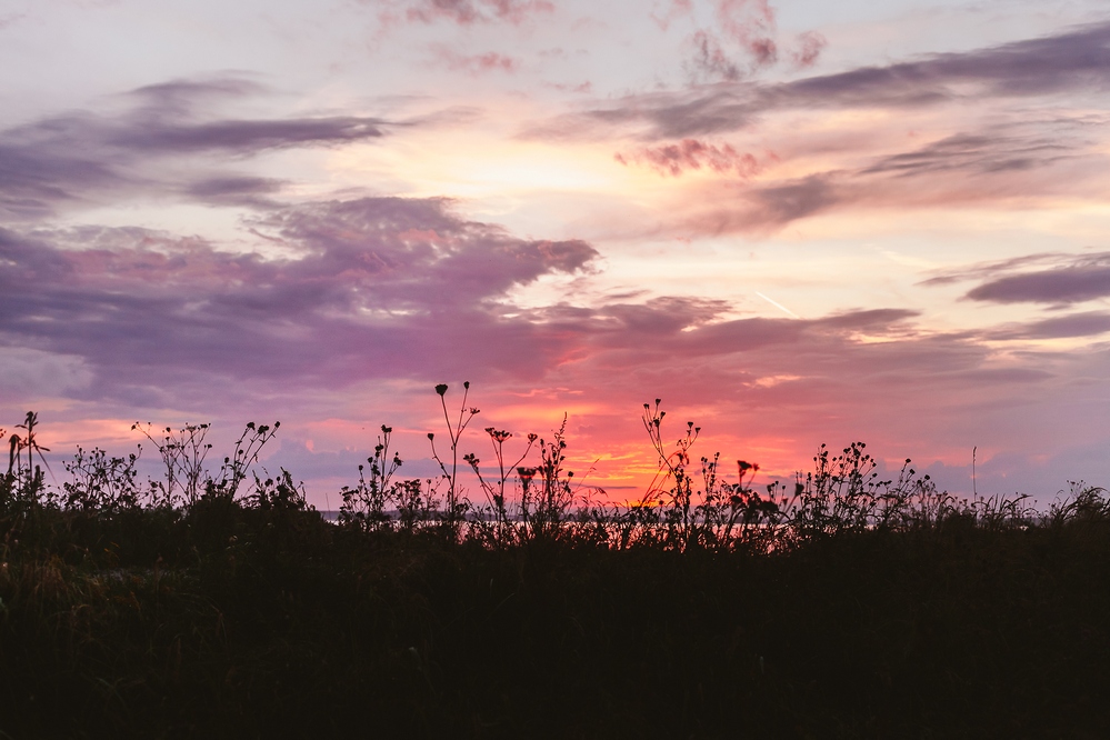 фотографии дубны