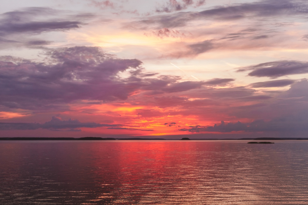 дубна левый