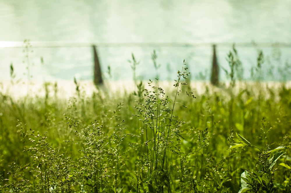 филевский парк сегодня