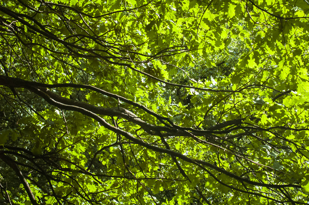 филевская пойма парк