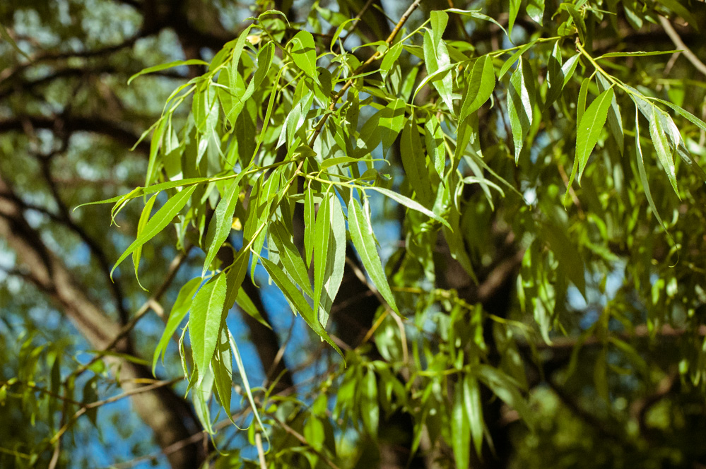 филевский парк места