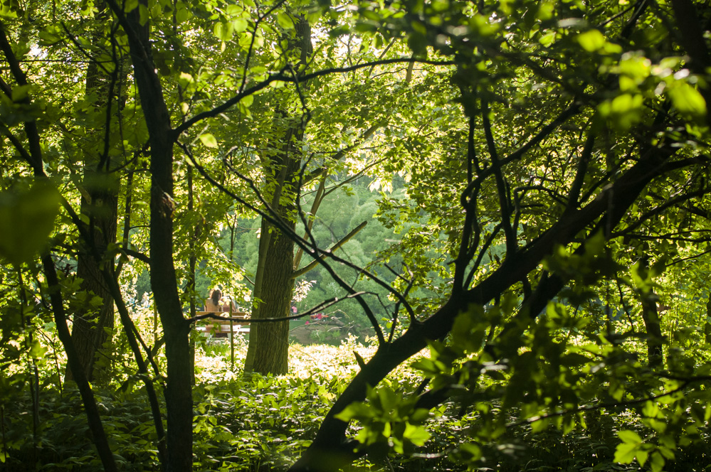 красивые парки москвы