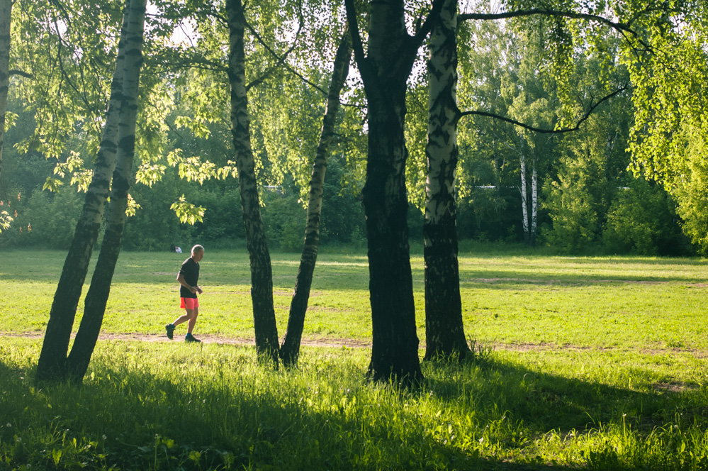 открытые парки +в москве