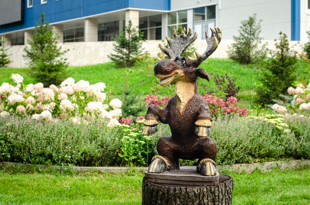 полигон апаринки