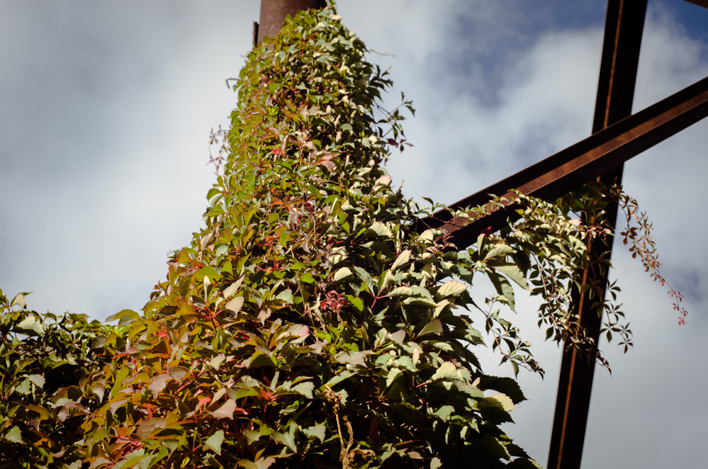 арт усадьба гуслица