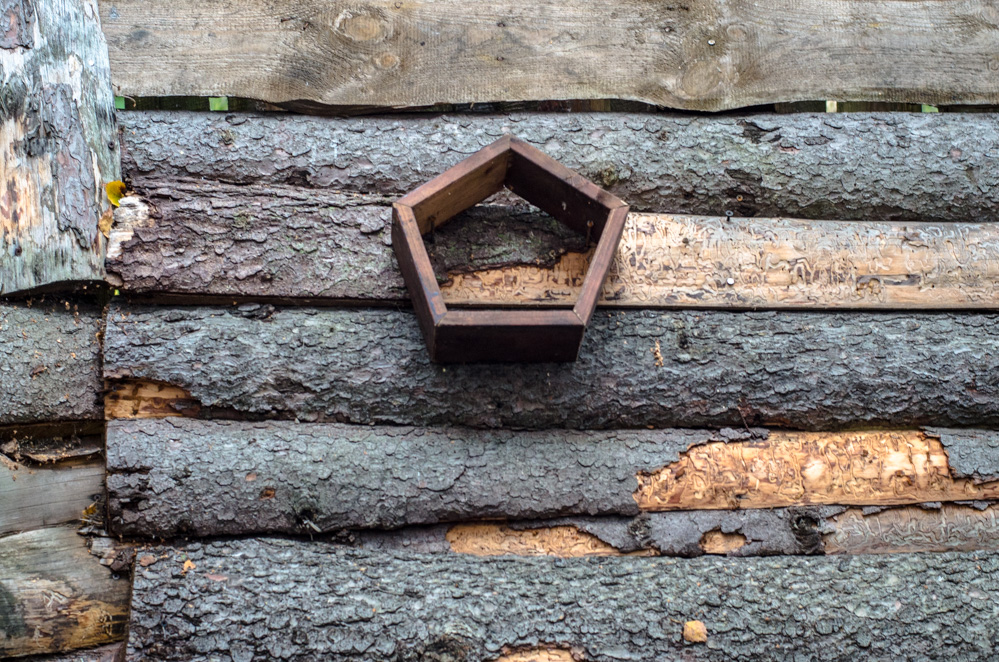 студия гуслица