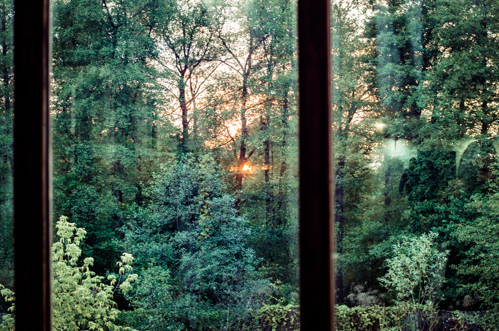 усадьба гуслица ильинский погост