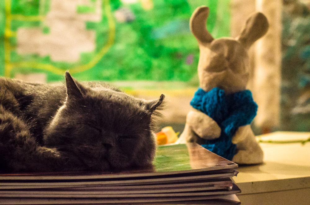 усадьба гуслица отзывы